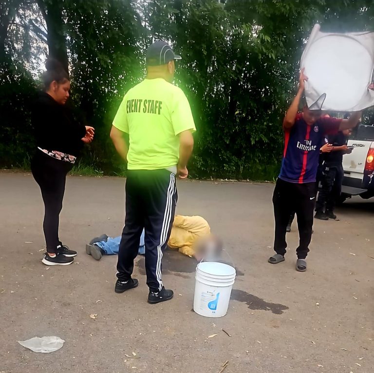 Varios heridos tra ataque de abejas en Tarímbaro