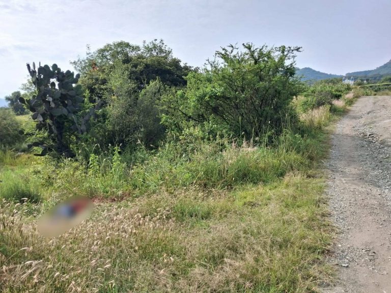 Hallan a hombre muerto en un predio de La Granja, en el municipio de Tlalpujahua