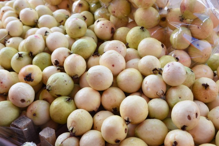 Premio Michoacán al Producto de Origen busca reconocer la excelencia y el orgullo local