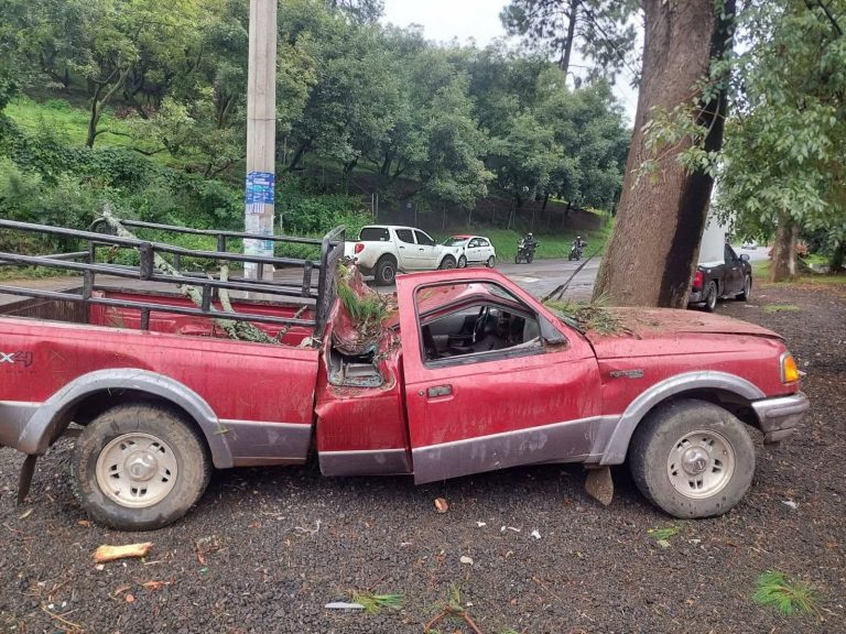 Pino colapsa y aplasta camioneta en la Tacámbaro-Pátzcuaro; hay 4 heridos