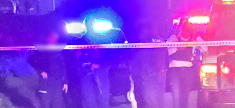 Detonaciones de arma de fuego dejan un canino muerto y autos dañados al norte de Morelia