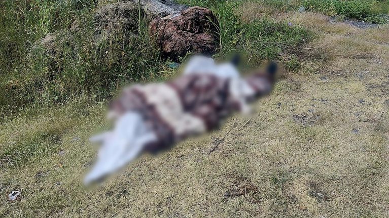Abandonan cadáver encobijado en el camino a Acahuato