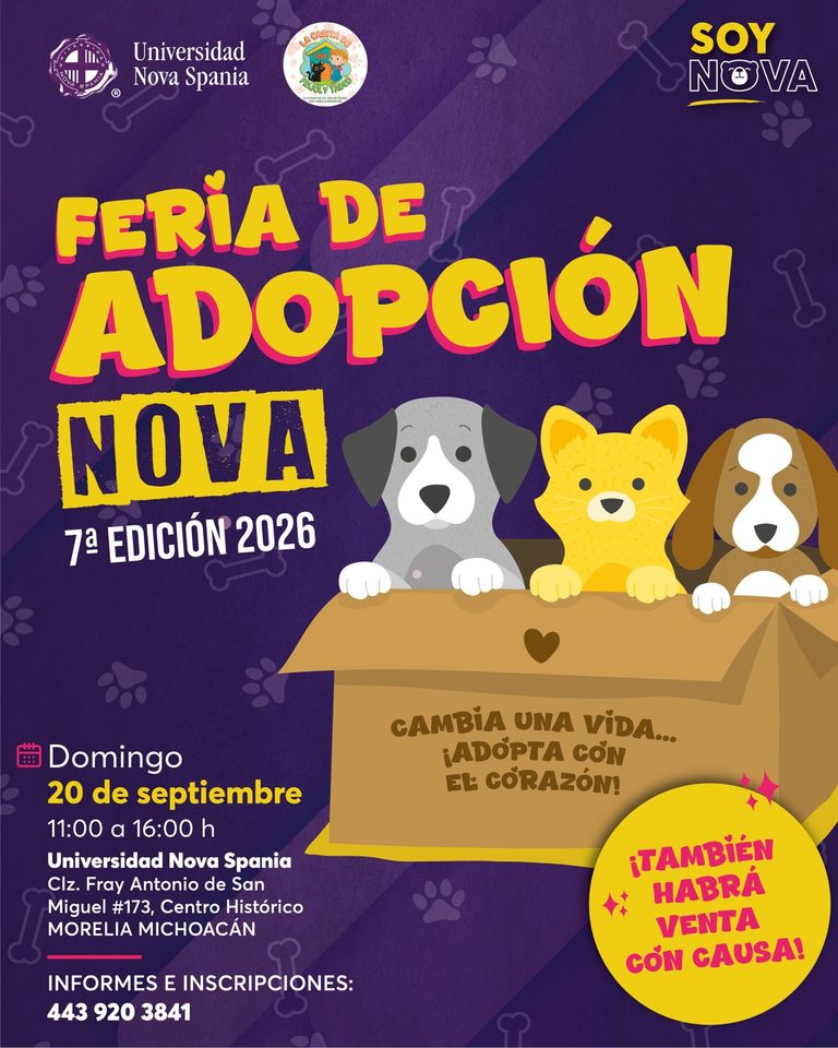 Este domingo hay cita con el corazón: La Casita de Frijol prepara su Feria de Adopción
